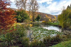 Kastély és arborétum
