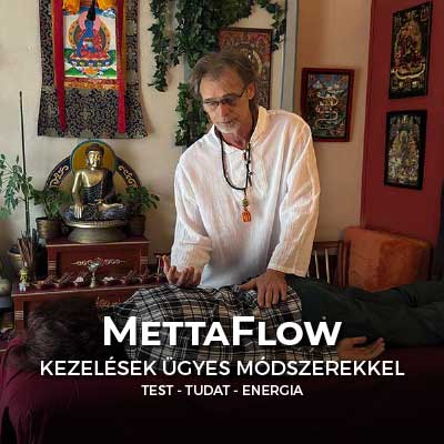 MettaFlow